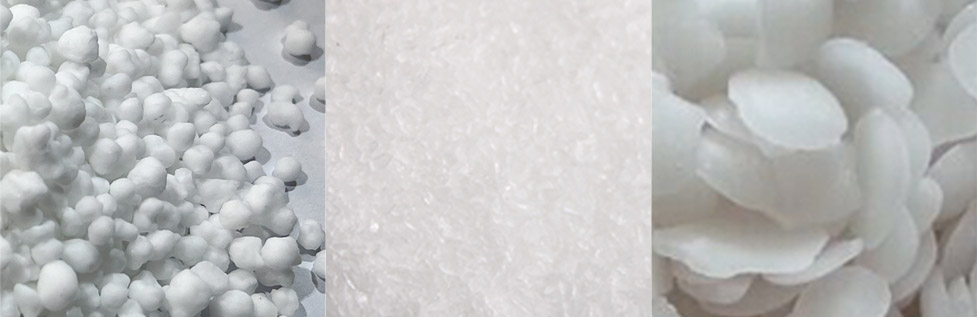 Tonglu Leitai Biotechnology Co., Ltd.